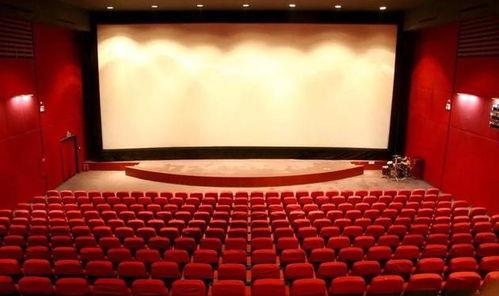 成人国产影院,探寻国产影院的成人世界